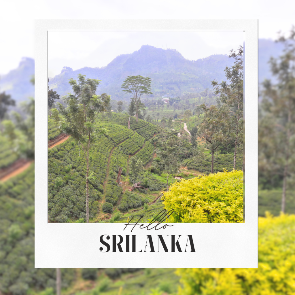 Maria Travel Diary | Maria's Travel Diary: Hidden Gems & Hiking Guides | Srilanka