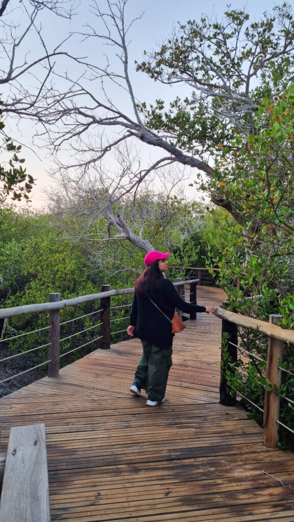 KHOR KALBA MANGROVES